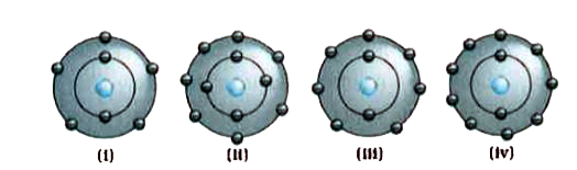 Which of the following figures do not denote the atom truely as per Bohr's model of atom?