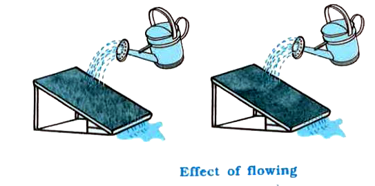 Take two identical trays and fill them with soil. Plant mustard or green gram or paddy in one of the trays and water both the trays regularly for a few days, till the first tray is covered by plant growth. Now, tilt both the trays and fix them in that position. Make sure that both the trays are tilted at the same angle. Pour equal amount of water gently on both trays such that the water flows out of the trays.       Study the amount of soil that is carried out of the trays. Is the amount the same in both the trays?