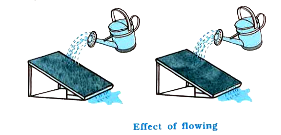 Take two identical trays and fill them with soil. Plant mustard or green gram or paddy in one of the trays and water both the trays regularly for a few days, till the first tray is covered by plant growth. Now, tilt both the trays and fix them in that position. Make sure that both the trays are tilted at the same angle. Pour equal amount of water gently on both trays such that the water flows out of the trays.      Now pour equal amounts of water on both the trays from a height. Pour three or four the amount that you poured earlier. Study the amount of soil that is carried out of the trays now. Is the amount the same in both the trays ?