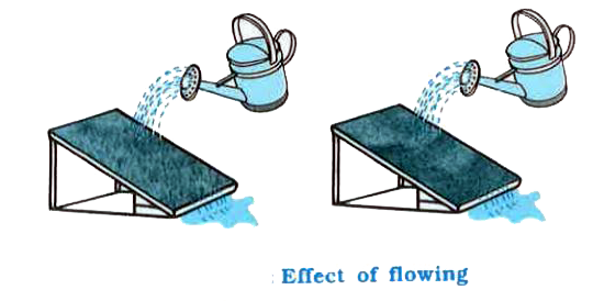 Take two identical trays and fill them with soil. Plant mustard or green gram or paddy in one of the trays and water both the trays regularly for a few days, till the first tray is covered by plant growth. Now, tilt both the trays and fix them in that position. Make sure that both the trays are tilted at the same angle. Pour equal amount of water gently on both trays such that the water flows out of the trays.      Is the amount of soil that is carried out more or less or equal to the amount washed out earlier ?