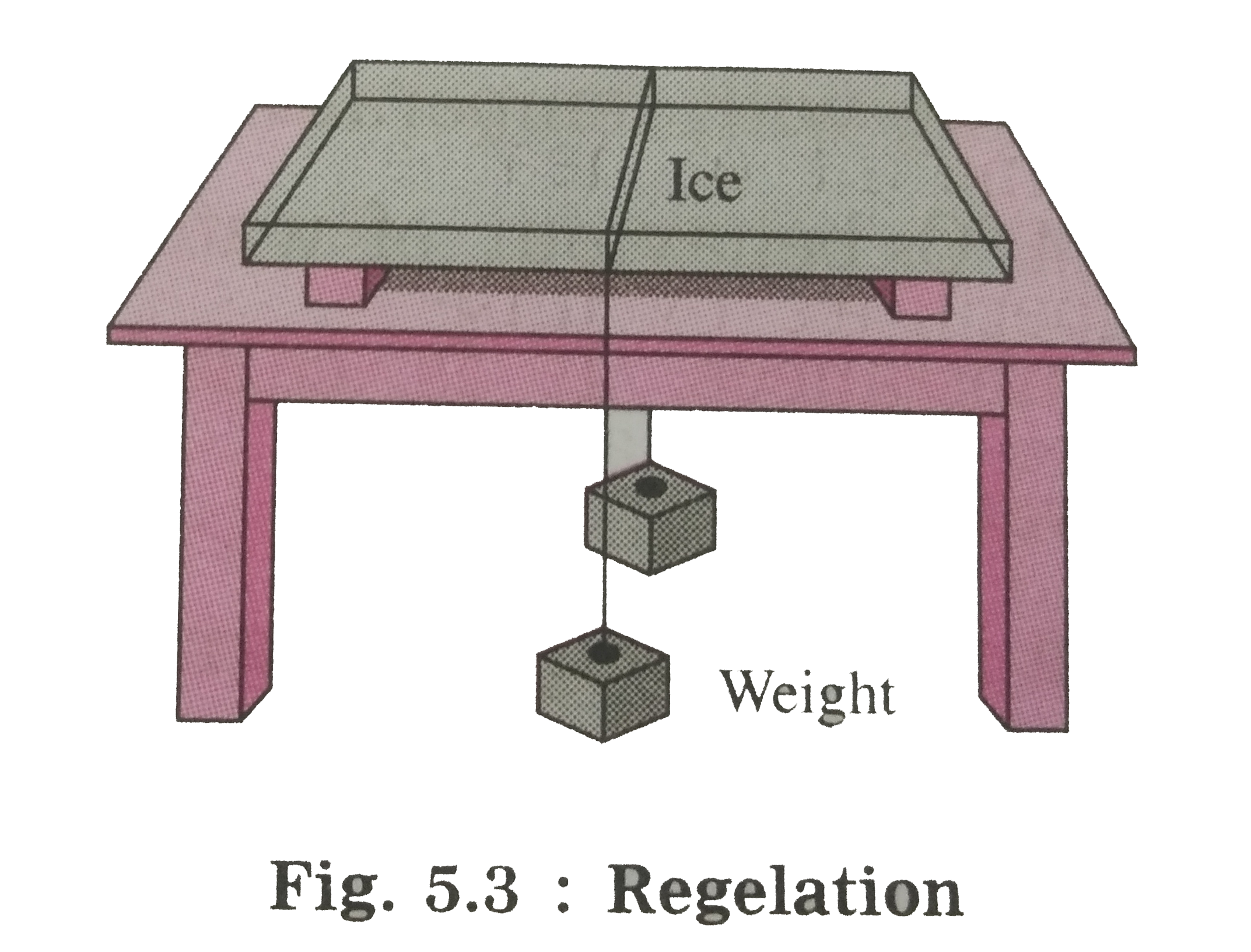 Take a small slab of ice, a thin wire, two identical weights.  Activity :   (1) Put a slab of ice on a stand  as shown in figure.   (2) Hang two equal weights to the two ends of a metal  wire and put the wire on the slab as shown in the figure.    What do you observe ?