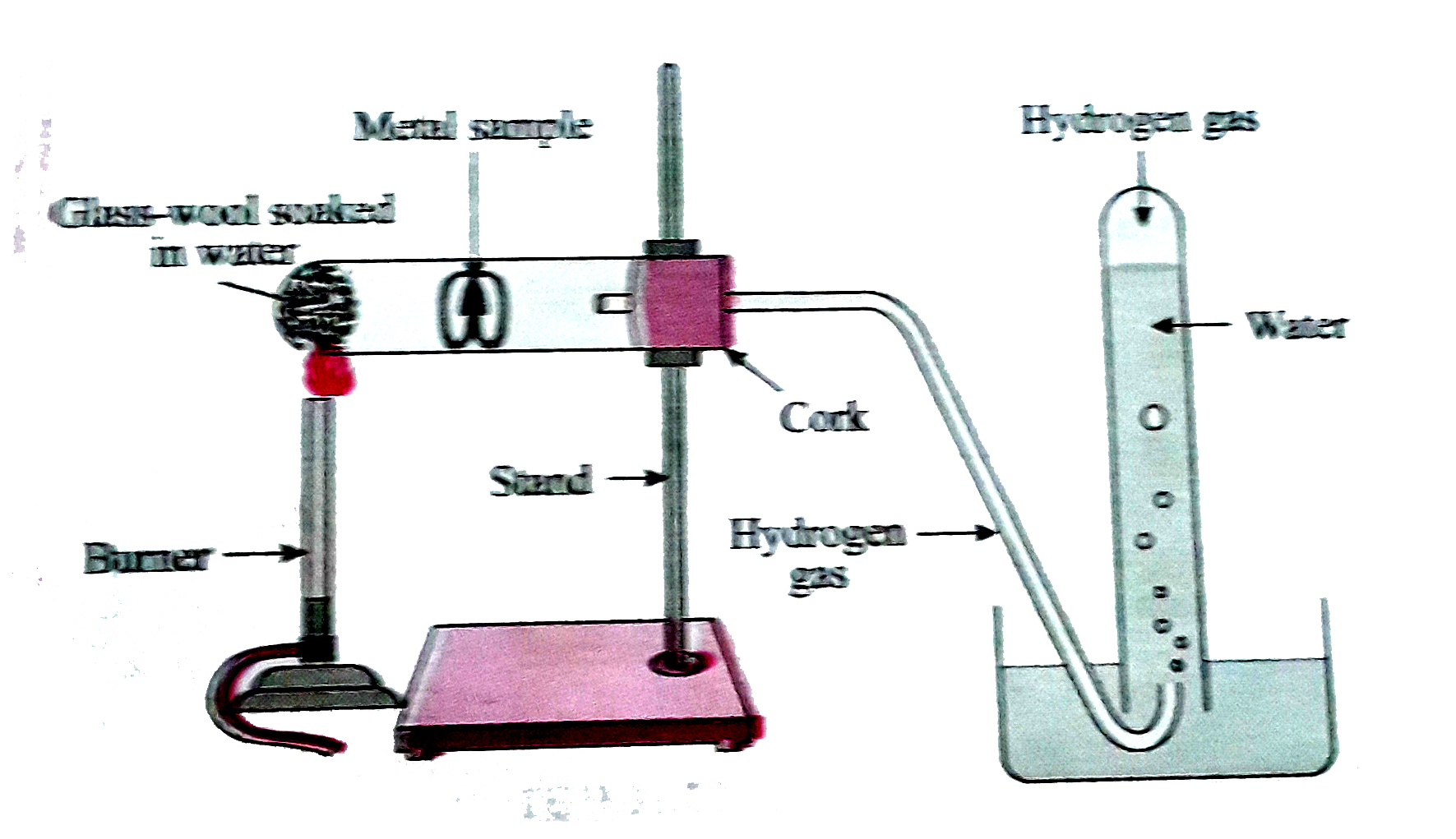 Reactions of metals with water Apparatus : Beakers Chemicals : Sam