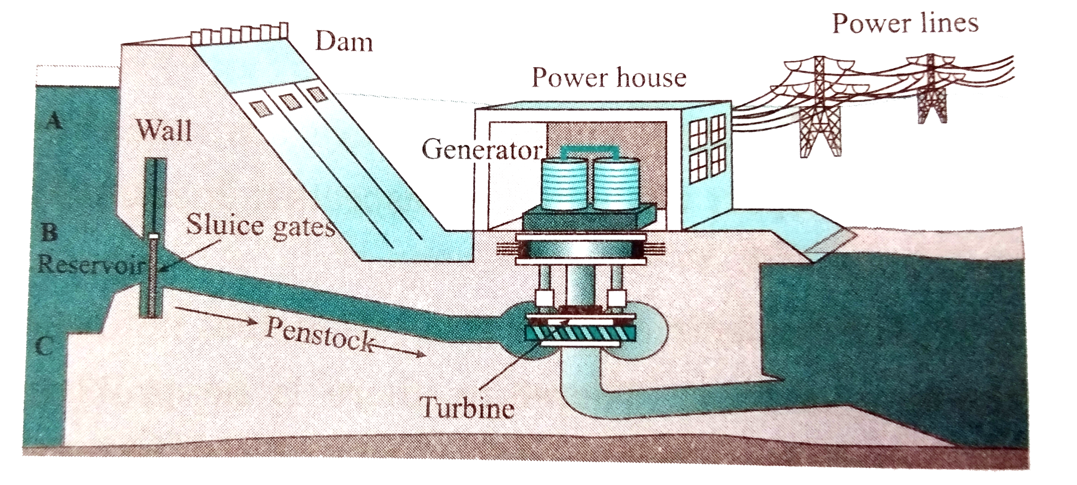 The schematic of hydroelectric plant is shown in Figure 5.17 on textbook . Water from about middle of the total height of the dam is taken to the turbine, as shown by point B in the diagram.    With reference to point B, potential energy of how much water reservoir in the dam will be converted into kinetic energy?