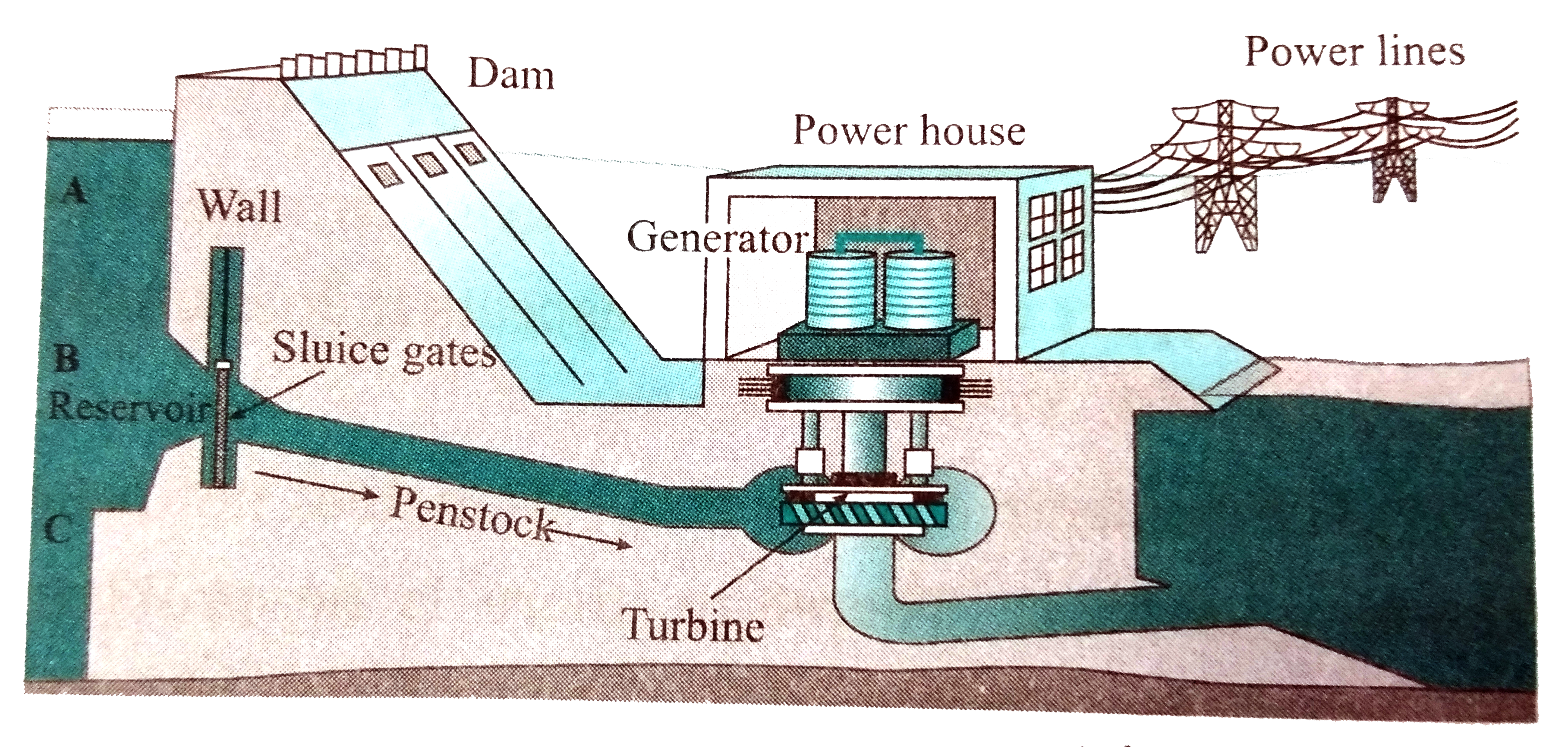 The schematic of hydroelectric plant is shown in Figure 5.17 on textbook . Water from about middle of the total height of the dam is taken to the turbine, as shown by point B in the diagram.   What will be the effect on electricity generation, if the channel taking water to turbine starts at point C?