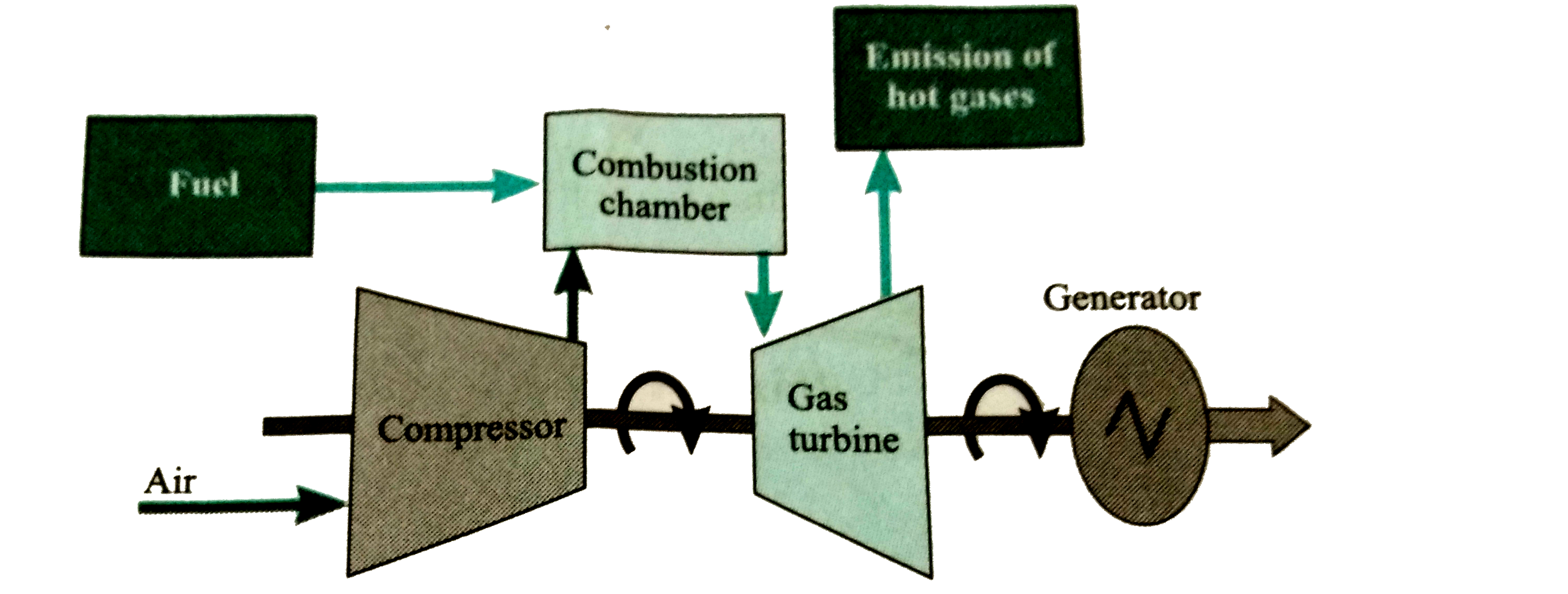 Observe the diagram and answer the questions:      (a) Which energy is generated from th . plant?   (b) State its source.   (c) Which is more eco-friendly-power generation fromcoal or Power generation from natural gas?  Why?