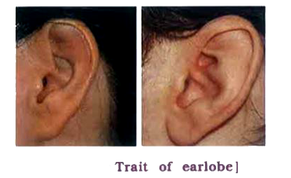 To suggest rule for inheritance of earlobe type. Procedure /Method :   rarr The lowest part of the ear pinna called the earlobe, is closely attached to the side of the head, i.e., attached or not, i.e., free.   rarr Observe the earlobes of all the students in the class. Prepare a list of students. Enter the data about the earlobes whether they are free or attached.   rarr Find out about the earlobes of the parents of each student in the class.   rarr Correlate earlobe type of each student with that of their parents.   rarr In the column write F for free earlobe and A for attached earlobe.         Answer the following questions on the basis of the collected data:   Are the types of earlobes hereditary?