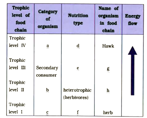 Fill the blank in following given table for terrestrial food chain