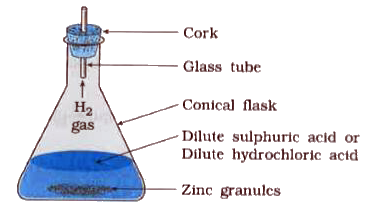 Aim: To study the reaction between zinc metal and dilute sulphuric acid.   Caution: Use the acid with care.    Activity:    Take a conical flask.     Add a piece of zinc granules in it.   Then add dilute hydrochloric acid or dilute sulphuric acid.      State the reaction occurring between the pieces of zinc and dilute HCl.