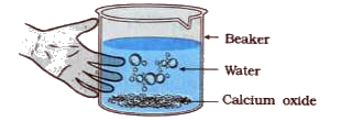 Aim: To study the reaction between calcium oxide and water.   Activity:    Take some quick lime (Calcium oxide - CaO) in a beaker. Add water to it slowly.    Touch the beaker as shown in the figure 1.3.      What is called the reaction occurring between quick lime and water ?