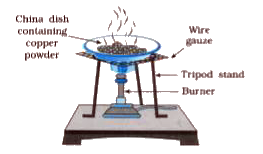 Aim: To study oxidation of copper to copper oxide.    Activity:    Take 1 g of copper powder in a china dish and heat it as shown in the figure.      Which product is obtained by passing hydrogen gas over hot copper oxide ?