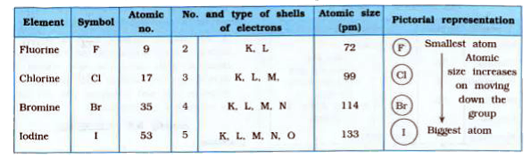 ocr_image