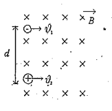 Two identical particles having the same mass m and charges +q and -q separated by a distance d enter in a uniform magnetic field B directedd perpendicular to paper inwards with speeds v1 and v2 as shown in fig. The particles will not collide if (Ignore electrostatic force)