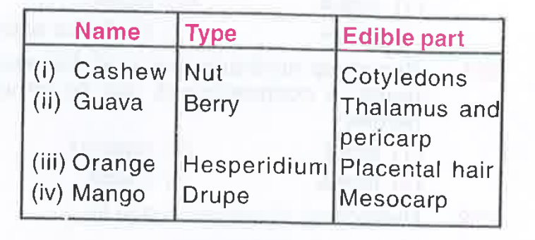 Read the following matches with reference to the fruit      Which of these are correct ?