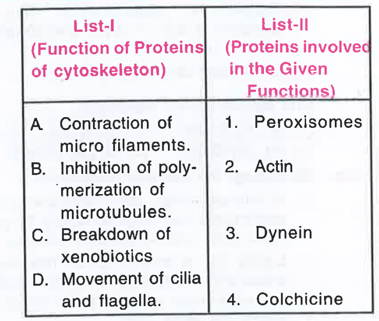 Match list  -I  ( Function  of proteins of cytoskeleton)  with  list  - II ( Proteins  involved in the given  functions) and  select  the  correct  answer using   the codes  given  below the lists.