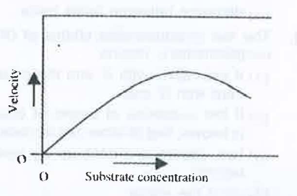 What does the graph indicate ?    The graph given below shows  the effect of  substrate concentration on the rate  of reaction of  the enzyme  green- gram-phos-phatase.