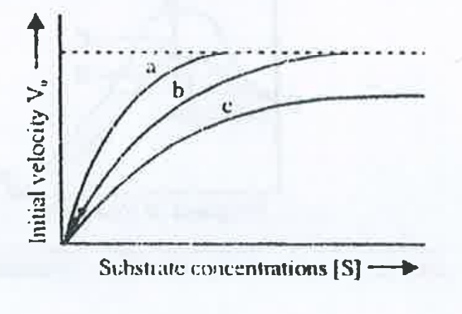 The figure  given  below  shows three velocity -substrate concentration  curves for an enzyme  reaction. What do the  curves a,b and c  depit respectively ?