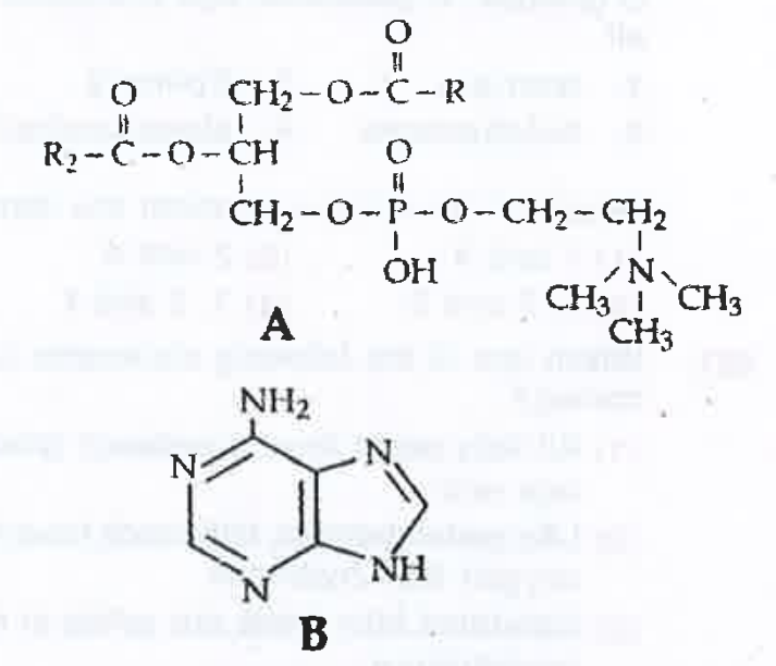 Which  one fo the following structural formulae of two  orgainc  compounds  is correctly  identified  along  with its  related  function ?