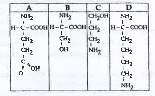 Which one out of A- D given  below correctly repesents  the  structural  formual of the basic amino acids ?