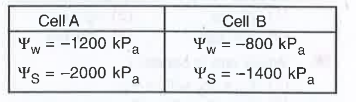 What would be Psi(P) in cell A and cell B respectively ?