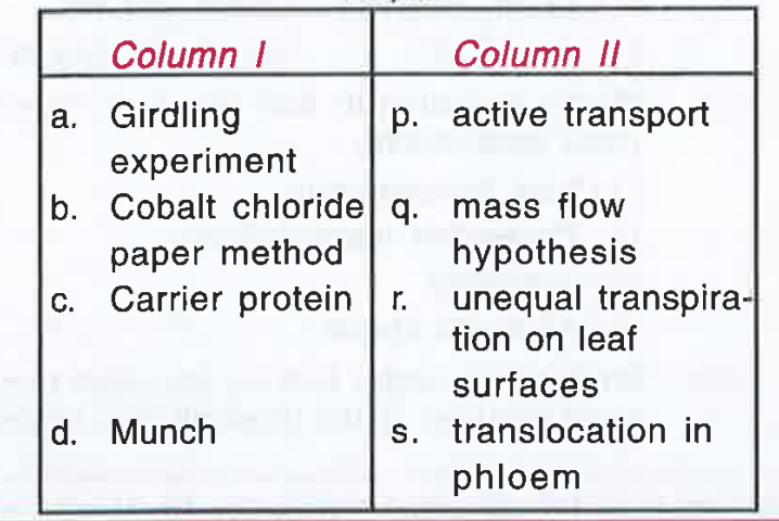 Match the experiment listed under Column I with the aim of the experiment in Column II.