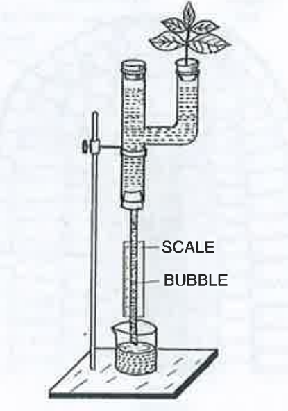 The experiment set up shown in the following diagram is for