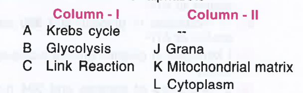 Match the biochemical processes given under column I with their respective cellular locations given under column II. From the answers, choose the cne which gives the correct combination of alphabets