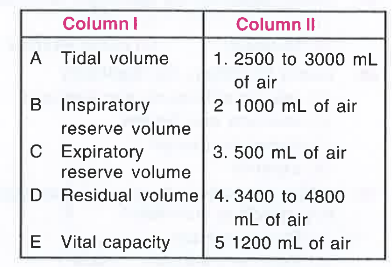 Match the items in column  I with column II