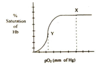 The accompanying graph depicts the % saturation of vertebrate haemoglobin with oxygen what does x and y indicate ?