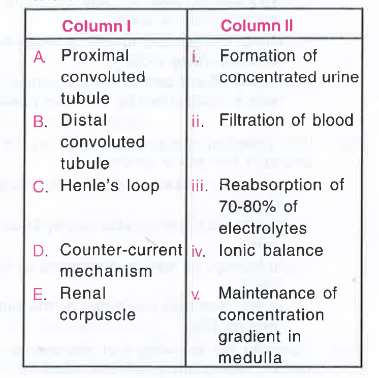 Match the terms given in Column I with their physiological processes given in Column II and choose the correct answer