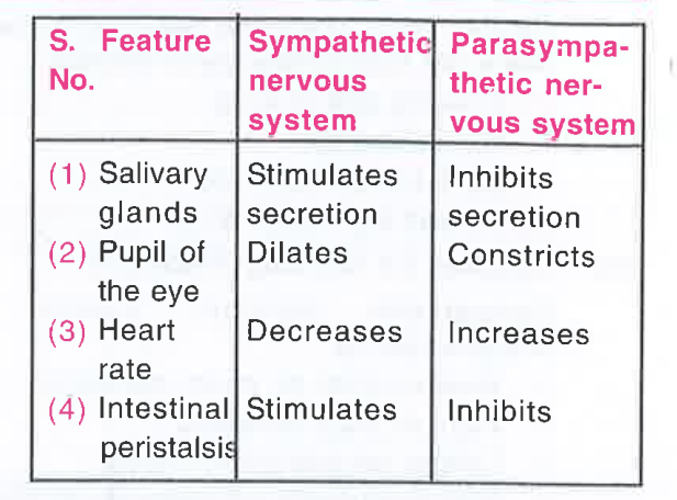 Given below is a table comparing the effects of sympathetic and parasympathetic nervous system for four feature (1-4). Which one feature is correctly described ?