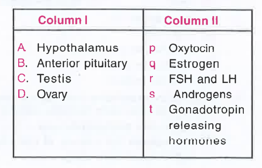 Column I lists the endocrine structure and Column II lists corresponding hormones. Match the two columns and identify the correct option from those given