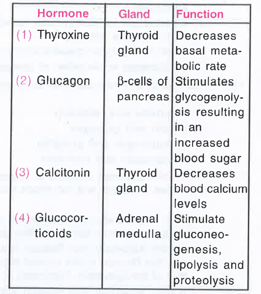 ocr_image