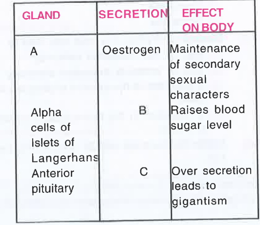 Given below is an incomplete table about certain hormones, their source glands and one major effect of each on the body in humans. Identify the correct option for the three blanks A, B and C.