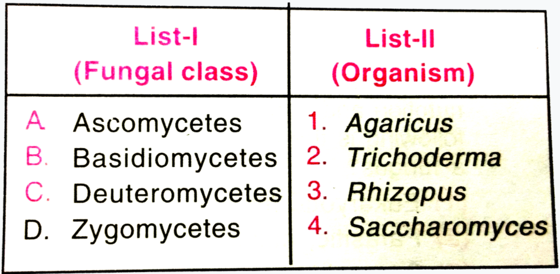 Match List-I (Fungal class) with List-II (Organism) and select the correct answer using the codes given below the lists