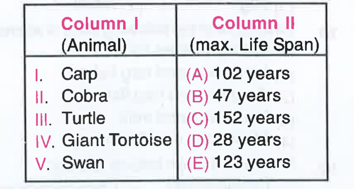Match the items in column I with column II and choose the correct alternatives.