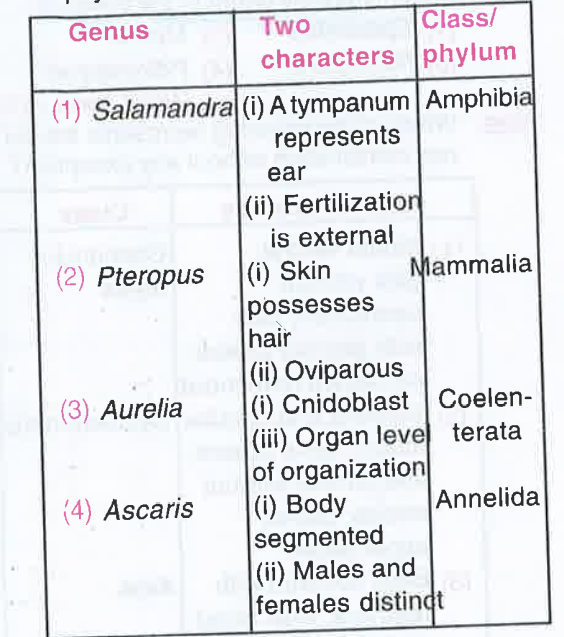Which one of the following the genus name, its two characters and its class/phylum are correctly matched?