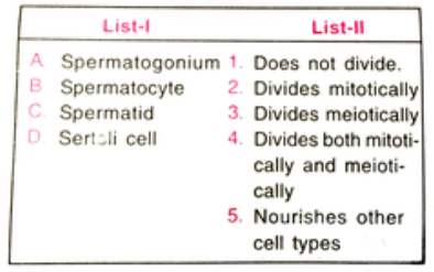 Match list-I (cell type) with list-II (characteristic) and select the correct answer using the codes given below the lists
