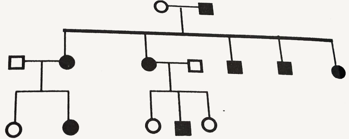 In a family, father had a trait but mother did not. All their sons and daughters had this trait. The same trait was found in some grand daughters, through daughters were married to normal persons.      In this pedigree the genotypes of father, mother and husbands of daughters are