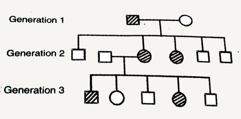 Given below is a pedigree chart chowing the inheritance of a certain sex-linked trait in humans:         the trait traced in the above pedigree chart is: