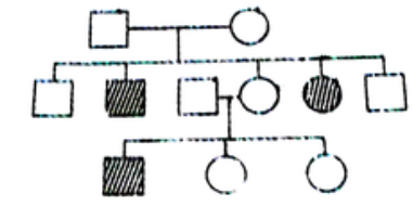 Study the pedigree chart given below      what does it show?