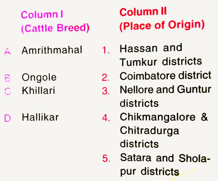 Match the breeds of cattle given under column I with the place of their orgin listed under column II choose the answer  which gives the correct combination of alphabets of the two columns