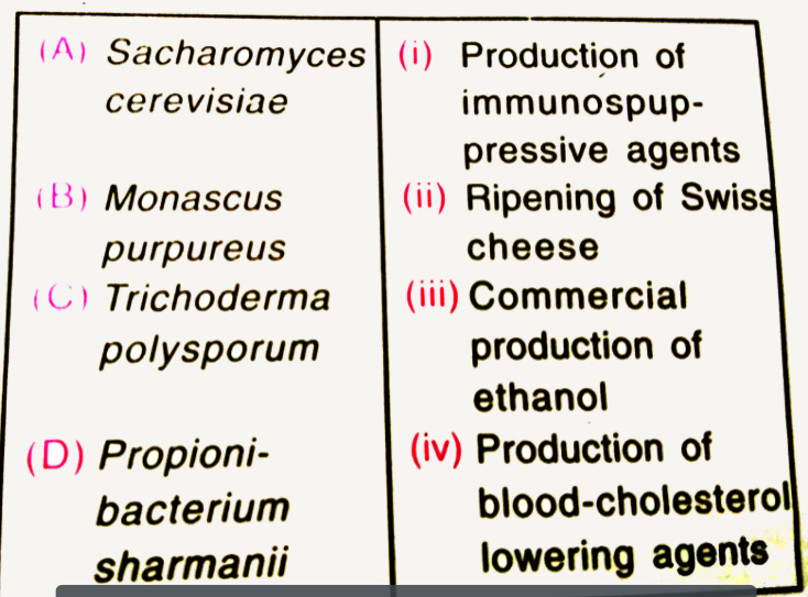 Match the following list of microbes and their important