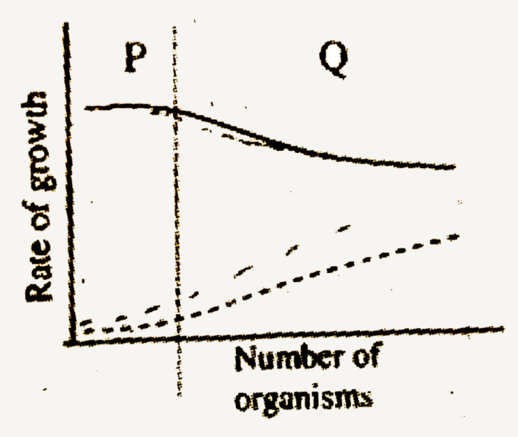 The relationship between the two organsims when grown individually (Secton P) and grown together (Section Q) is shown in the graph. The relationship is most likely to be