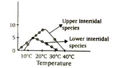 Cirral activity of two barnacles in relation to temperature are given above, which one of the following is the most appropriate explanation of the figure ?
