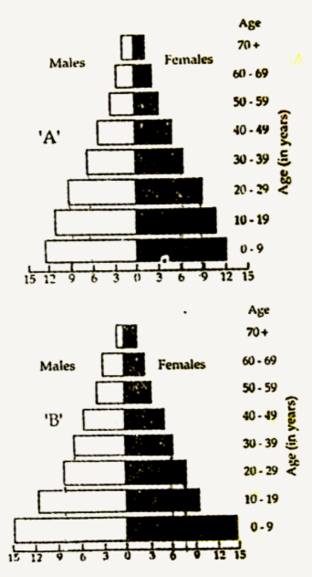 A country with a high rate of population growth took measures to reduce it. The figure below shows age-sex pyramids of populations A and B twenty years apart. Select the correct interpretation about them