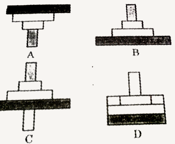 Which of the following representations shows the pyramid of numbers in a forest ecosystem?