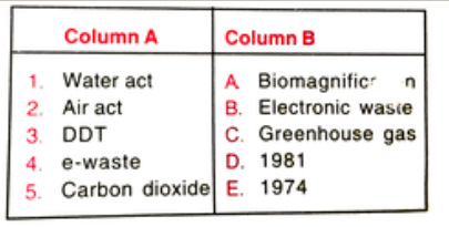 Match the items in Column A with those of Column B.