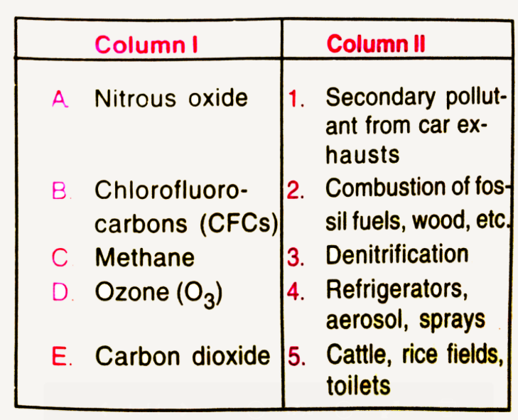 Under Column-I, a list of gases that are known  to have a greenhouse effect is given .   Relate  them to  their main source  selecting   from the  list given  under column-II.