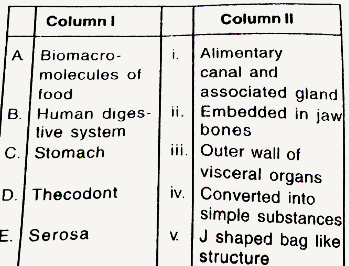 Match the two columns and select the correct among options given