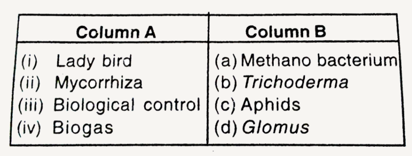 Match the items in Column 'A' and Column 'B' and choose correct answer.   The correct answer is